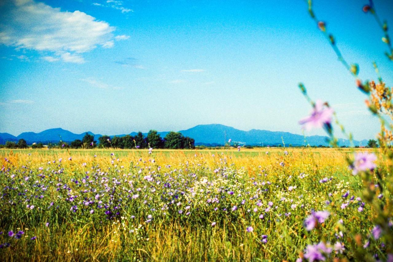 Apartman Anita Varaždin Esterno foto